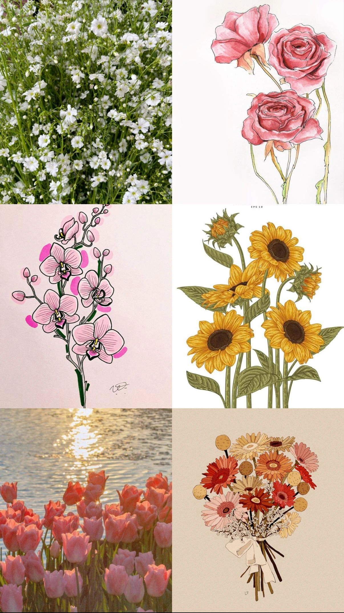 flores favoritas
